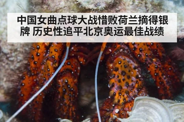 中国女曲点球大战惜败荷兰摘得银牌 历史性追平北京奥运最佳战绩